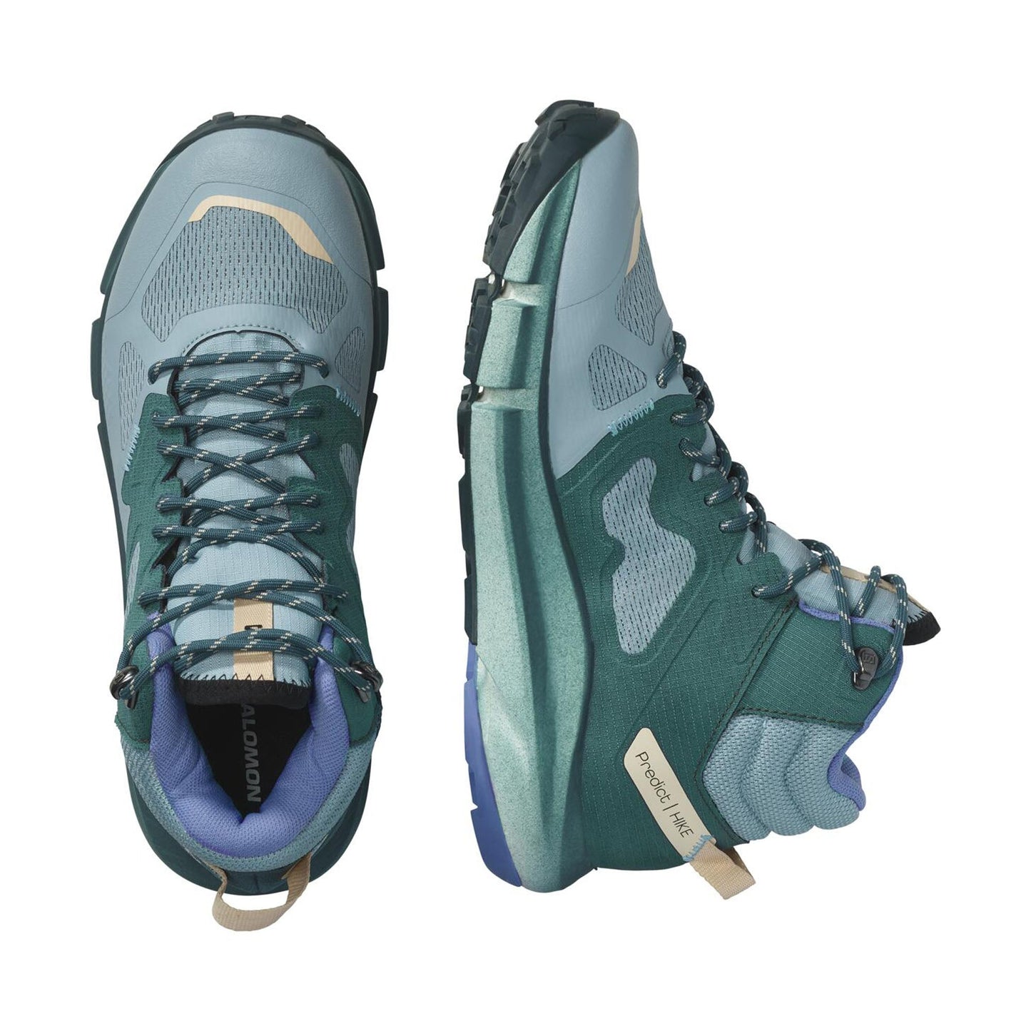 Predict Hike Mid Gtx W