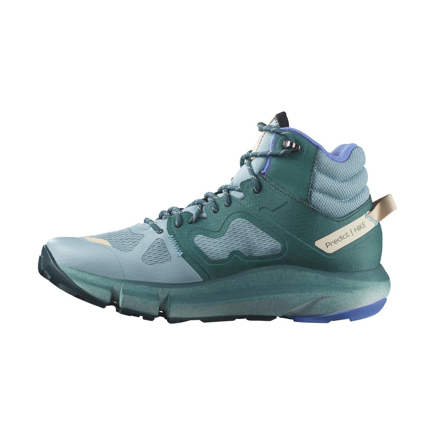 Predict Hike Mid Gtx W