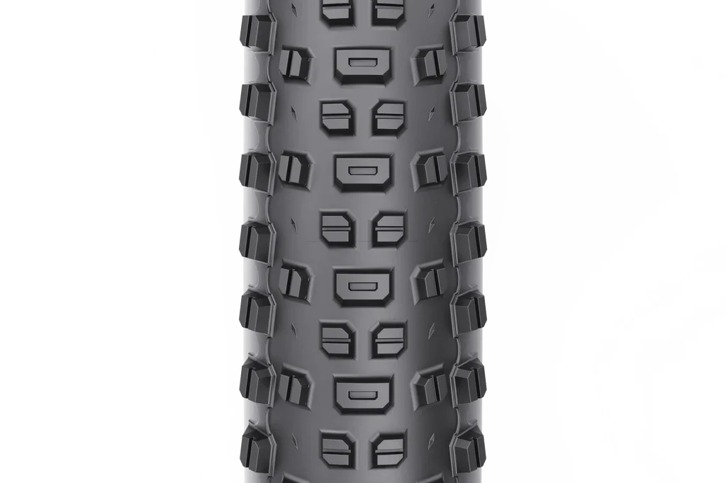 Ranger 2.4 x 29" TCS Light/Fast Rolling 60tpi Dual DNA SG2 Tire