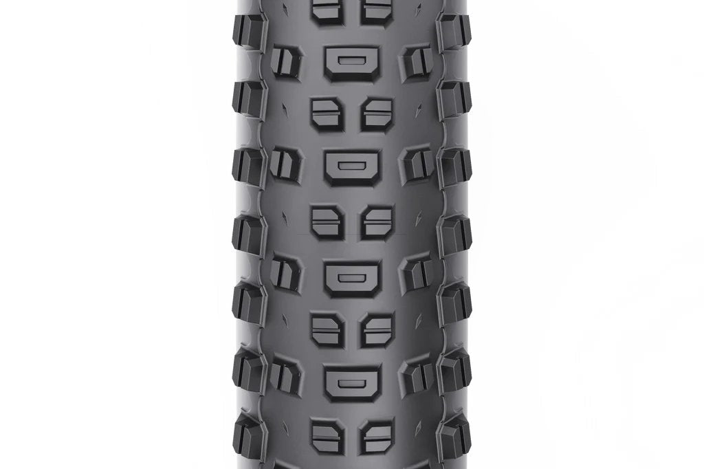 Ranger 2.4 x 29" TCS Light/Fast Rolling 60tpi Dual DNA SG2 Tire