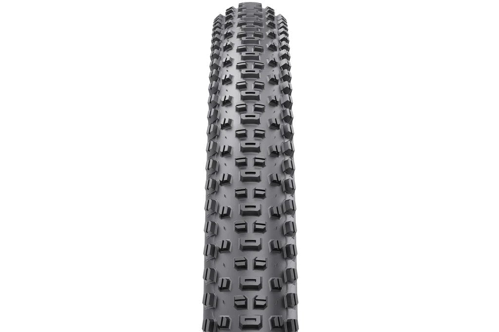 Ranger 2.4 x 29" TCS Light/Fast Rolling 60tpi Dual DNA SG2 Tire